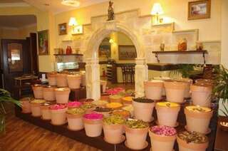 Отель Phoenicia Suites Baneasa Бухарест-3