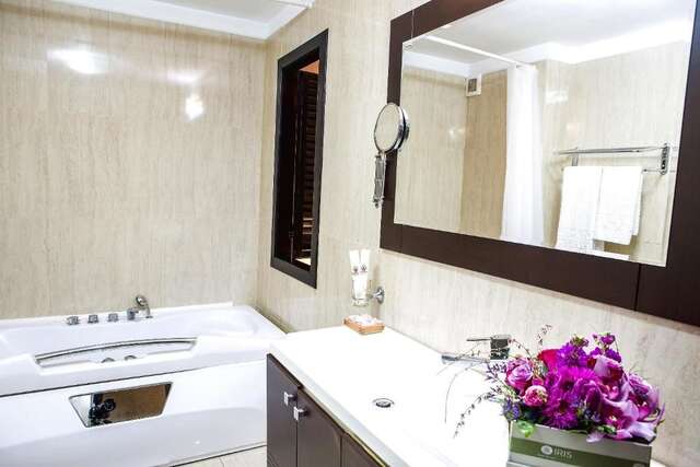 Отель Phoenicia Suites Baneasa Бухарест-46